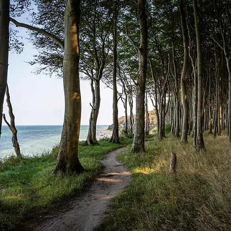 Gemuetliche Ferienresidenz Mit Meerblick Ueber Wundervolle Luebecker Bucht Διαμέρισμα