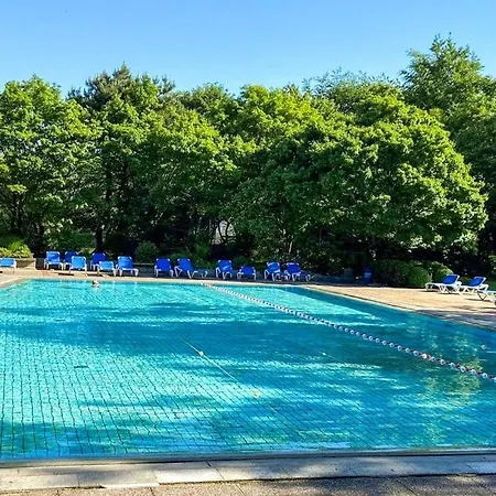 Gemuetliche Ferienresidenz Mit Meerblick Ueber Wundervolle Luebecker Bucht Διαμέρισμα *